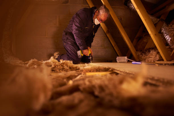 Types of Insulation We Offer in Auburn, MI